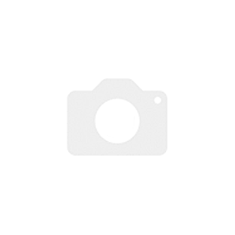Автошини 195/65R16C 104/102R TRANSWAY 3 LASSA 243799 фото